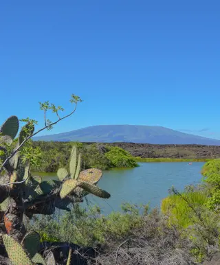 Erklimme einen Vulkan auf der Isla Isabela